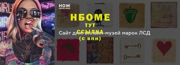 ГАЛЛЮЦИНОГЕННЫЕ ГРИБЫ Абаза