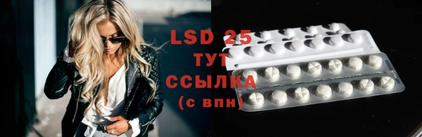ГАЛЛЮЦИНОГЕННЫЕ ГРИБЫ Абаза