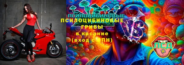 ГАЛЛЮЦИНОГЕННЫЕ ГРИБЫ Абаза